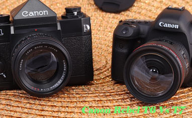 Canon Rebel T6 Vs T7