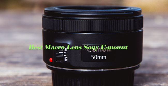 Best Macro Lens Sony E-mount