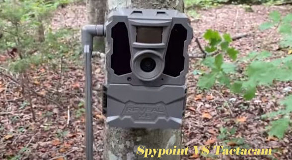 Spypoint VS Tactacam