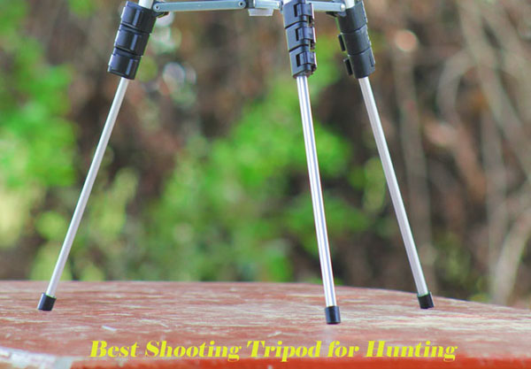 Best Shooting Tripod for Hunting