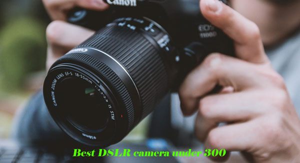 best DSLR cameras under 300