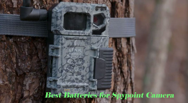 Best Batteries for Spypoint Camera