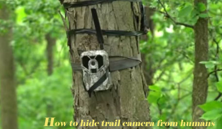 how to hide trail camera from humans