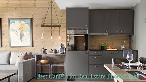 Best Camera for Real Estate Photography