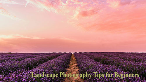 Landscape photography tips