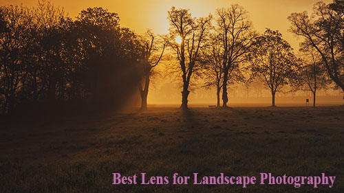 best Lens for Landscape Photography